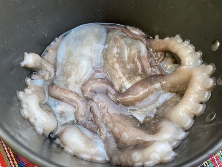 가고싶은 섬 가고싶은섬, 꼬막길과 뻘배길이 16