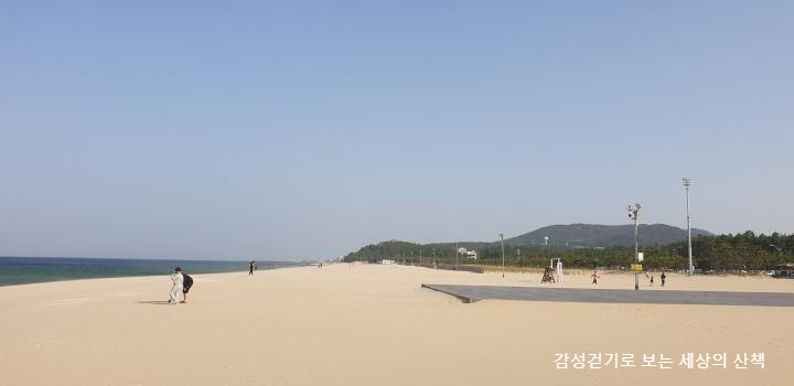 망상해변