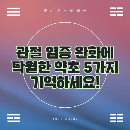관절 염증 완화에 탁월한 약초 5가지 기억하세요!