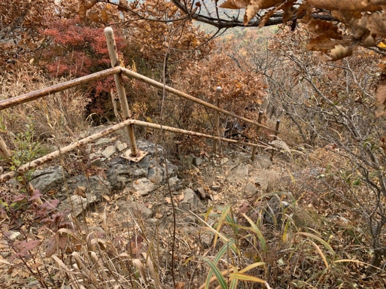 오서산 최단코스 [BAC 100대명산 / 보령 오서산 최단코스] 오서산자연휴양림 ~ 월정사 31