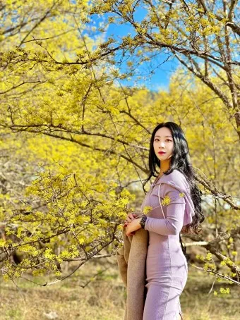 구례 산수유축제 기간 산수유마을 개화시기_7
