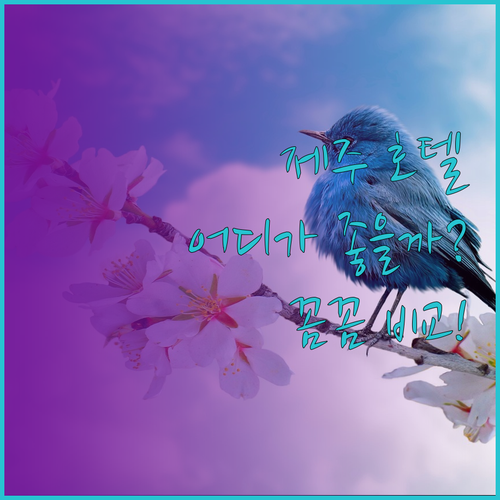 제주 호텔 고민 끝 소노캄 제주, 에
