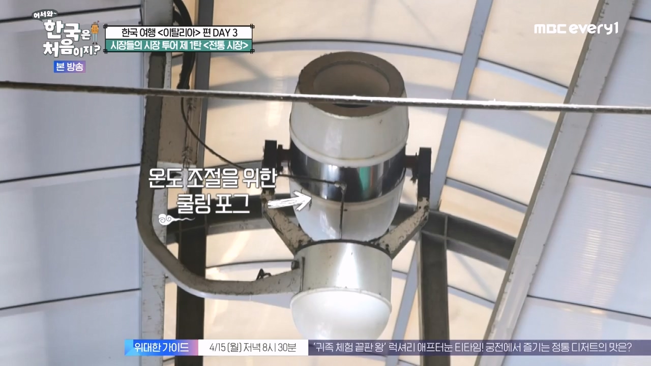 어서와 한국은 처음이지 시즌2.E309.240412p-NEXT.mp4_20240412_202440.518.jpg