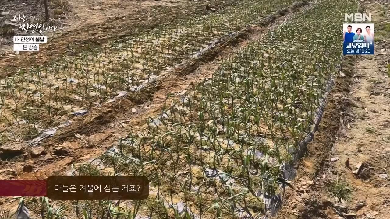 나는 자연인이다.E599.240328p-NEXT.mp4_20240328_195842.458.jpg