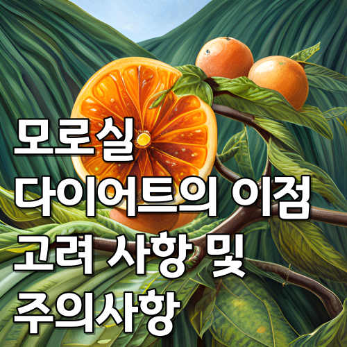 모로실 다이어트의 이점 고려 사항 및 주의사항