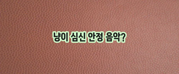 고양이가 좋아하는 음악 편안하고 안정적인 선곡이 중요하죠!