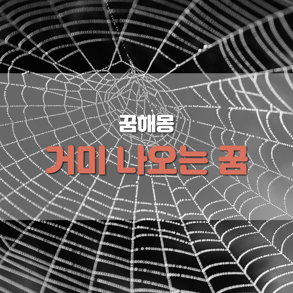  <꿈해몽> 거미 꿈, 거미 나오는 꿈, 거미 관련 꿈 해몽