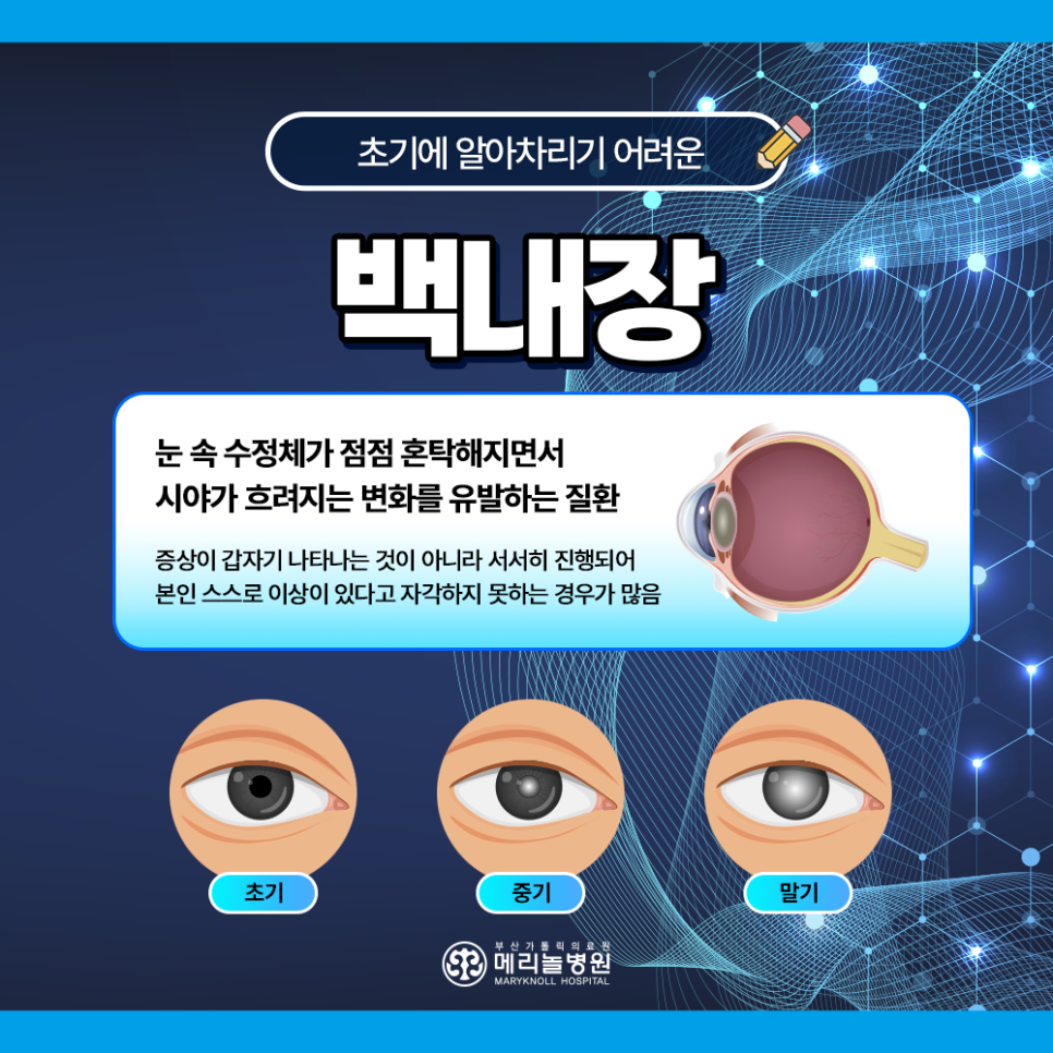 심해 사진 2