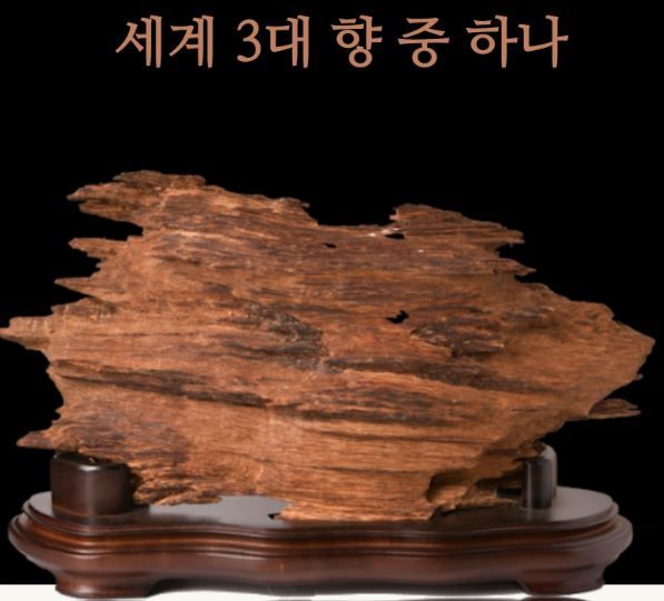  조선 비책 침환향 부작용 및 효능 등 궁금한 점 Q and A