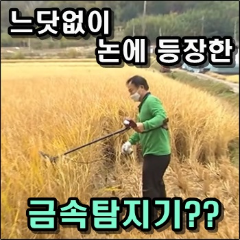  느닷없이 논에 등장한 금속탐지기 누군가 박아놓은 철근때문