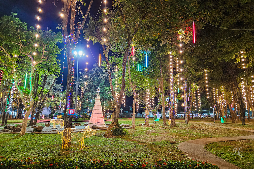 나무마다 전구가 연결되어 있는 태국 깜팽펫 씨리찟 공원