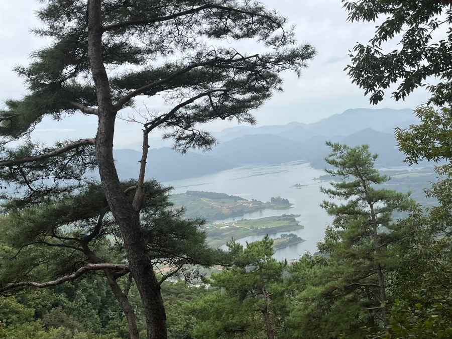 모노레일타면서본풍경