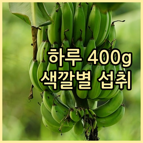 하루 과일 채소 400g, 건강 지키