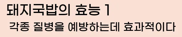 돼지국밥의 효능 1 각종 질병을 예방하는데 효과적이다