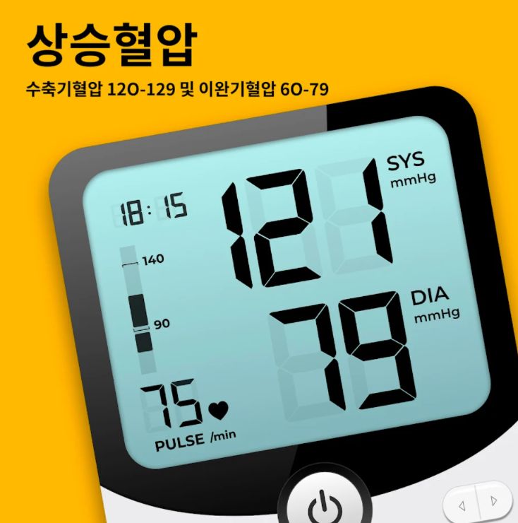혈압 기록 어플 고혈압 관리 앱 기록지-12 혈압 기록 어플 고혈압 관리 앱 기록지-12
