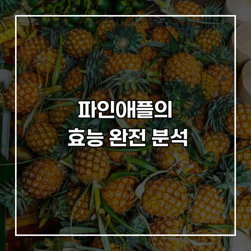 파인애플의 숨겨진 건강 비밀! 효능 완전 분석