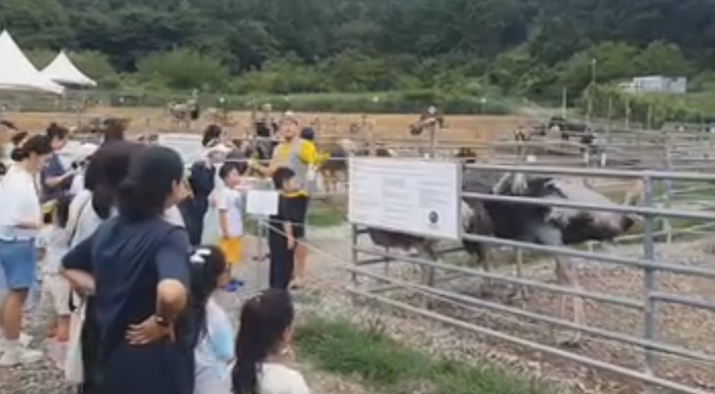 시골목장 이미지