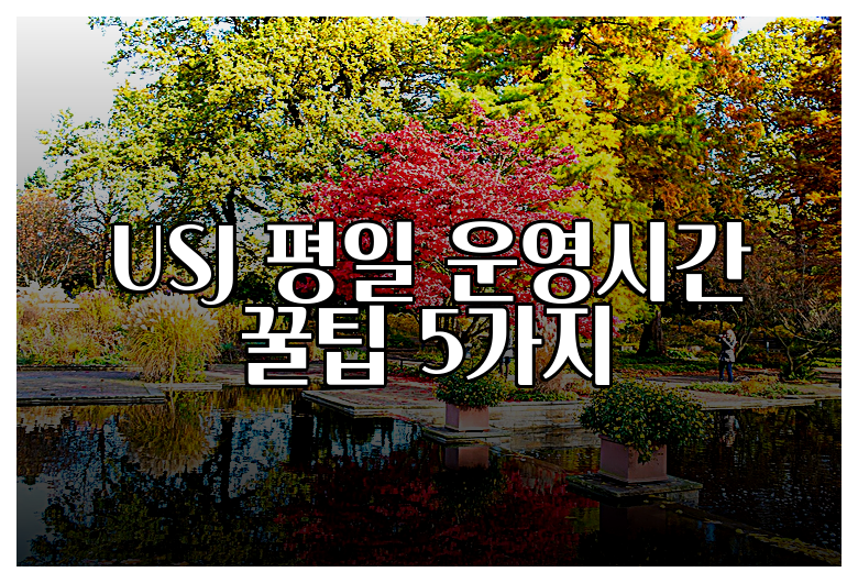 USJ 평일 운영시간 꿀팁 5가지