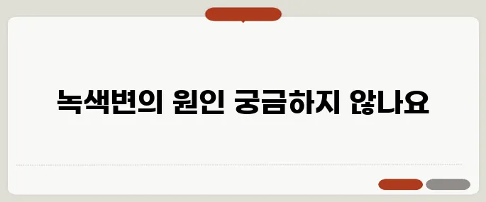 녹색변 정리 알아두면 유용해요