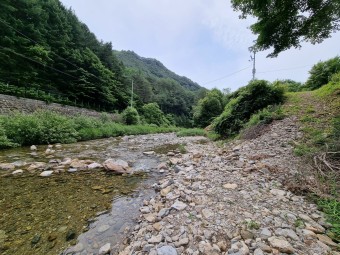 보양 밥상