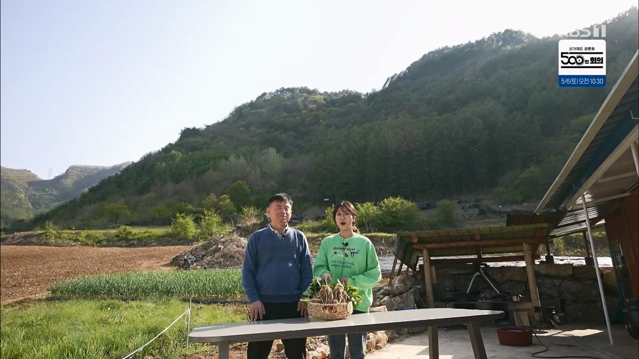 6시 내고향.E7779.230503p.H264-F1RST.mp4_20230505_183259.769.jpg