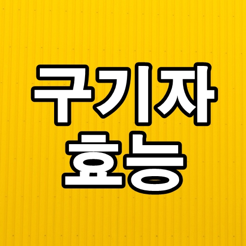  구기자 효능과 부작용 알고먹자!