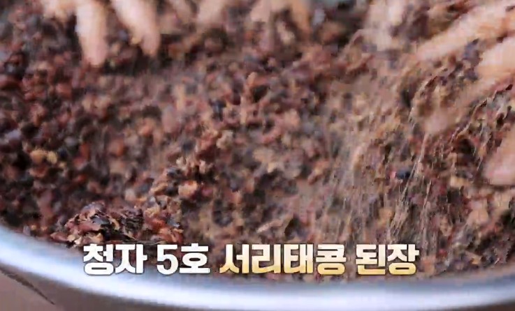 서리태콩-된장을-만든다