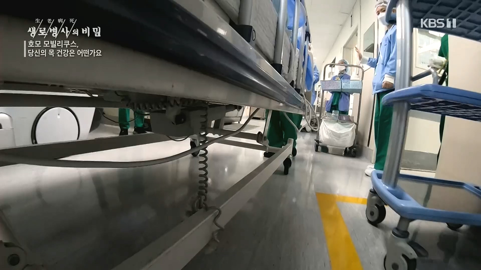 생로병사의 비밀.E841.221026p.H264-F1RST.mp4_20221027_200824.454.jpg