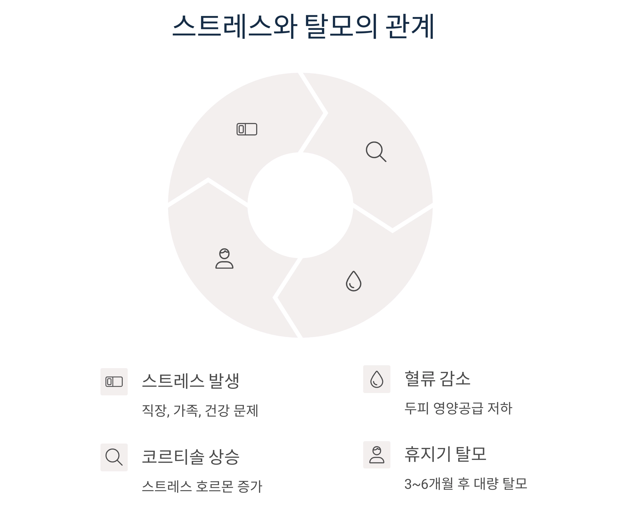 중년 탈모, 나만의 문제가 아니다? 남녀 모두 알아야 할 핵심 진실