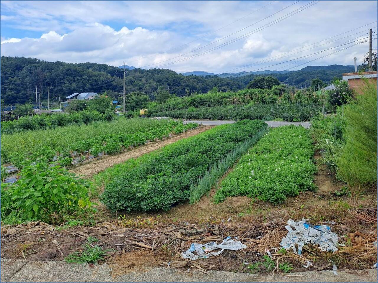 전원종합관리(주) 이미지