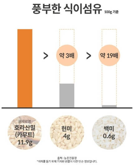 풍부한 식이섬유