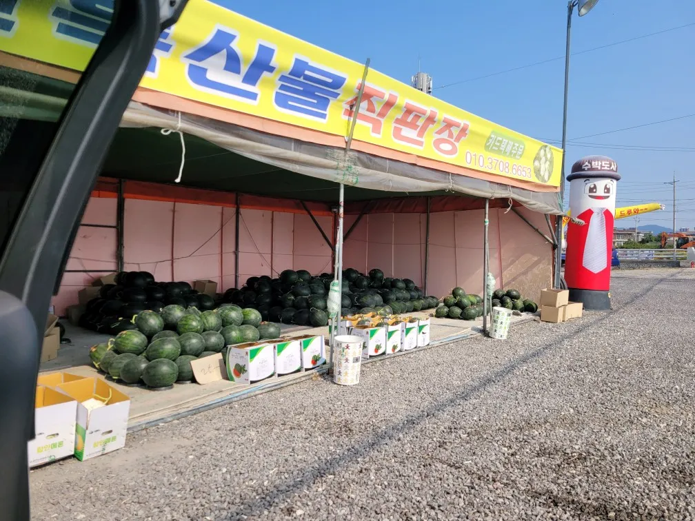 함안 수박도사 수박과 가야백자 멜론, 판매 시작