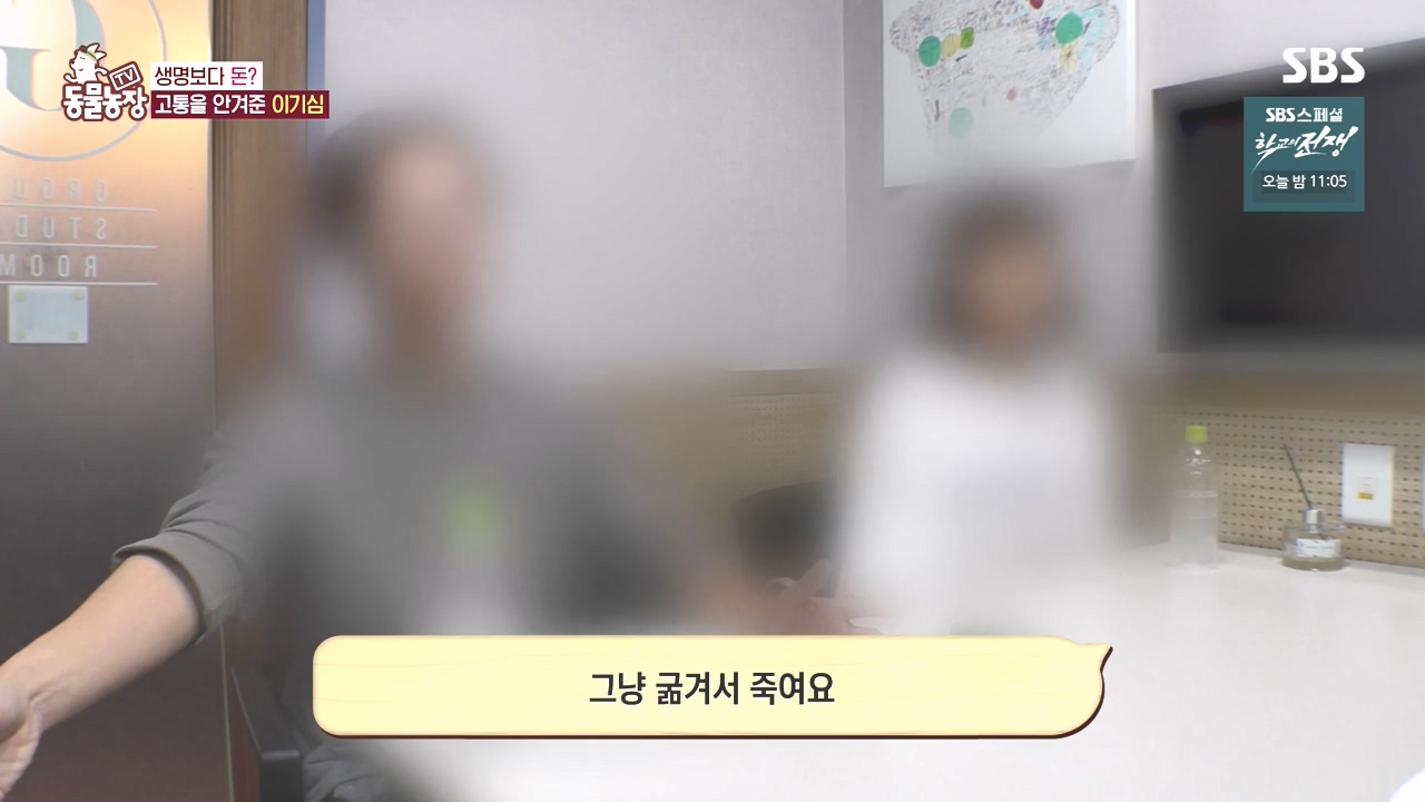 TV 동물농장.E1142.231023p-NEXT.mp4_20231022_173421.915.jpg