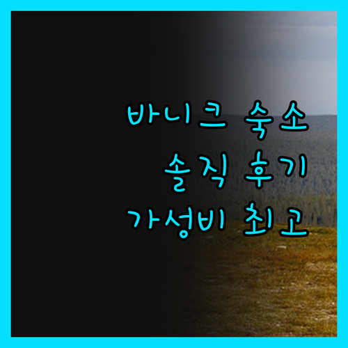 바니크 스위트 숙박 솔직 담백 후기!