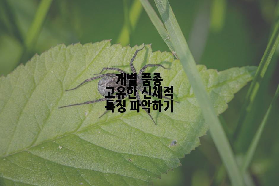 개별 품종 고유한 신체적 특징 파악하기