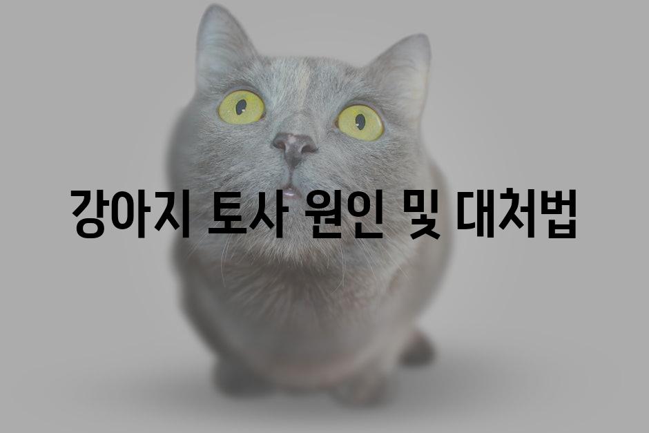 강아지 토사 원인 및 대처법