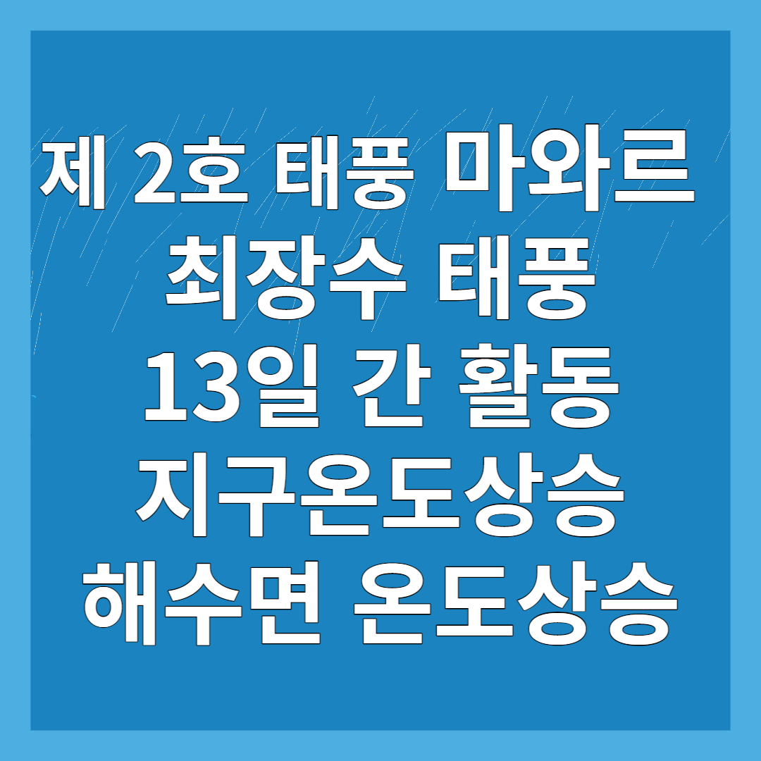  2호 태풍 마와르 일본에 200mm 넘는 폭우 피해 신칸센 운행 중단