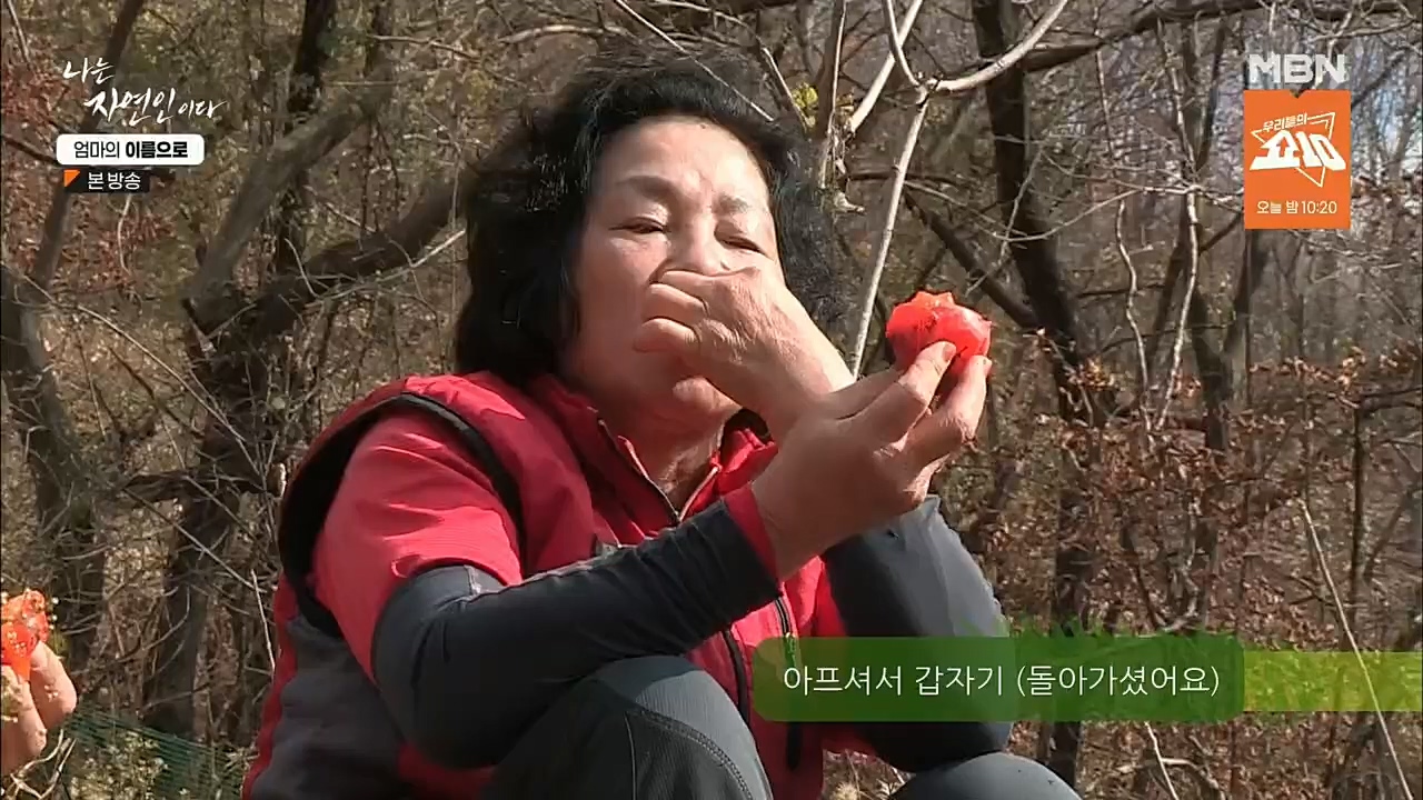 나는 자연인이다.E531.221208p.H264-F1RST.mp4_20221208_204238.007.jpg