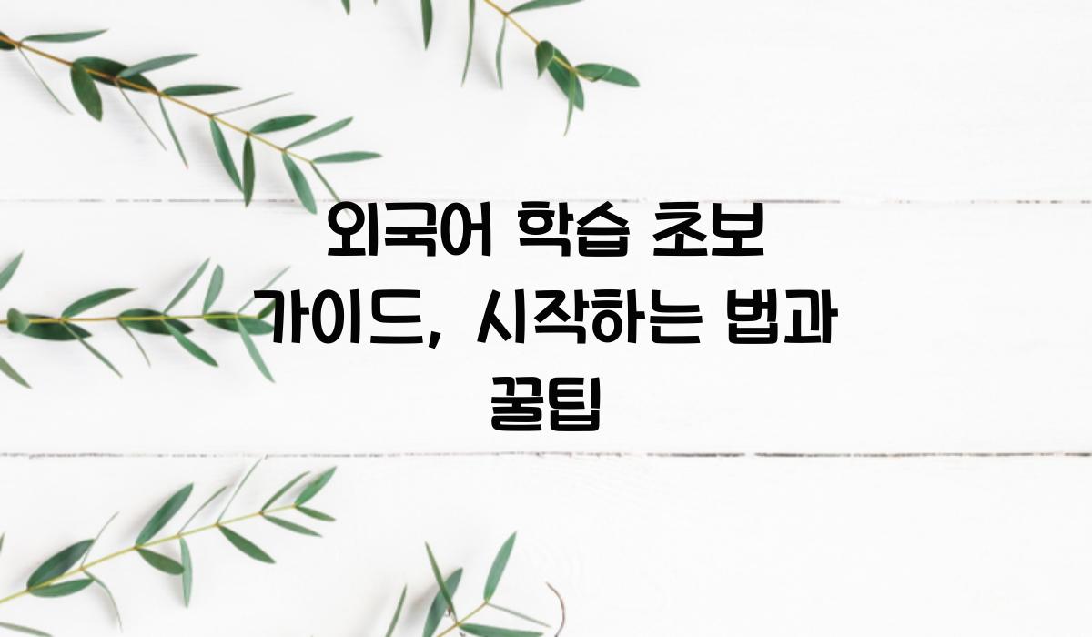 외국어 학습 초보 가이드