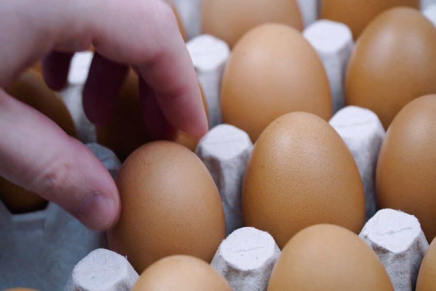 달걀 계란