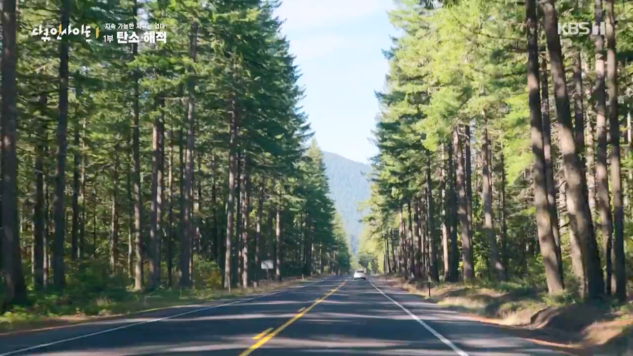 다큐 인사이트.E177.240112p-NEXT.mp4_20240113_155848.162.jpg