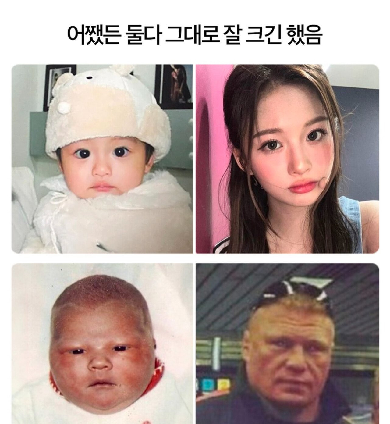 img.jpg
