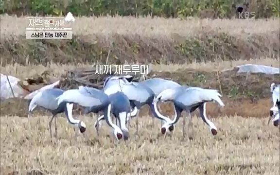 [3회] 자연의 철학자들 - KBS새처럼 살고 싶어라] 자연이라는 위대한 법당에서 숲의 울림, 새들의 소리를 들으며 깨달음을 얻은 도연 스님.ts_20220320_153113.871.jpg