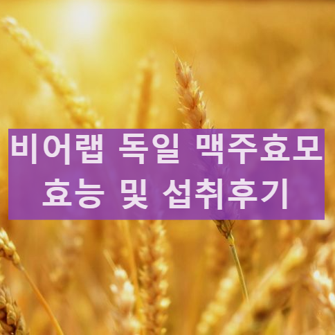 비어랩 독일 맥주효모 환 프리미엄 효능 효과 먹는방법