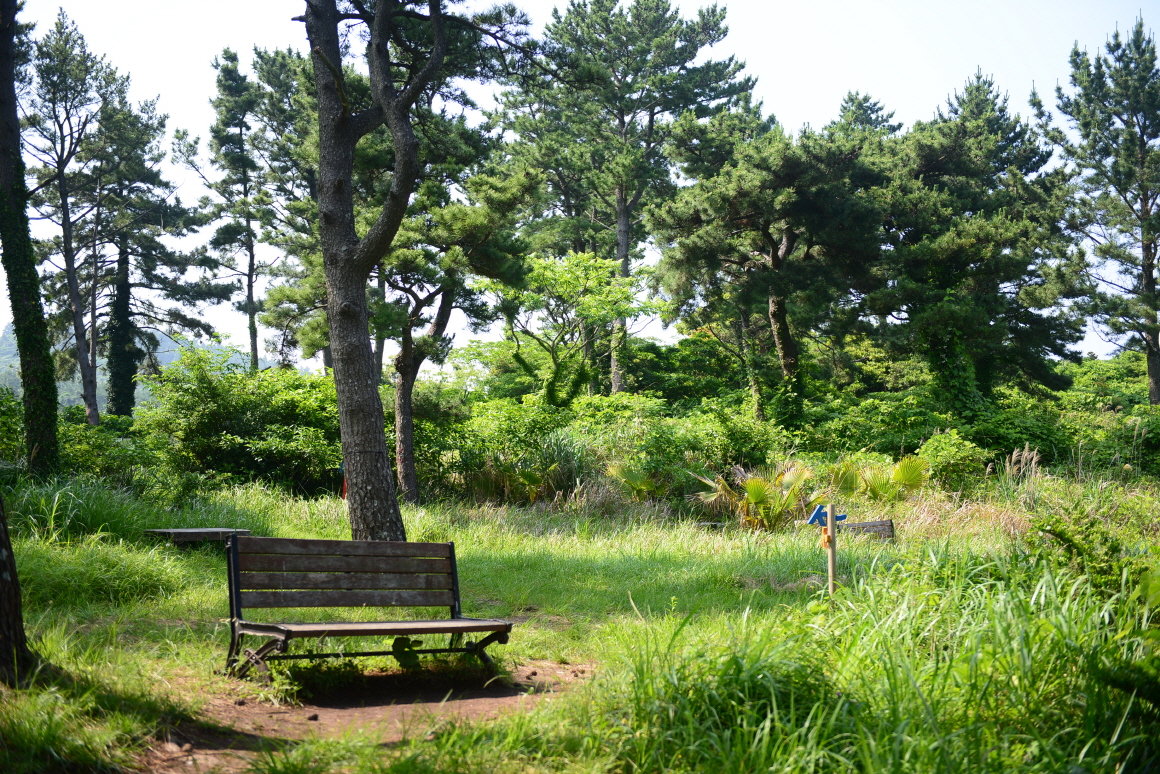 Discovering Jeju&#39;s Beauty