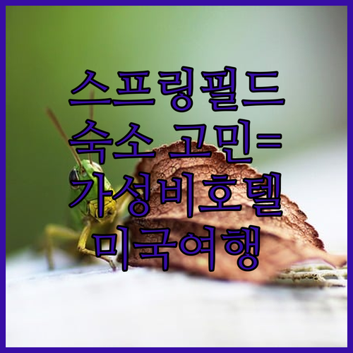 스프링필드 숙소 고민 끝! 가성비 좋