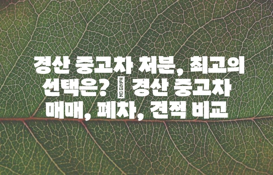 샘플 (43)