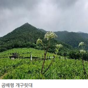 설악산 국립공원 단풍