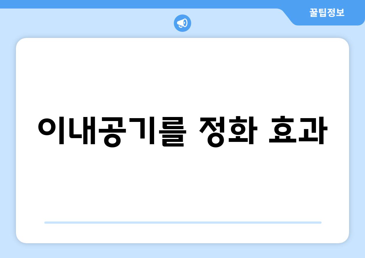 이내공기를 정화 효과