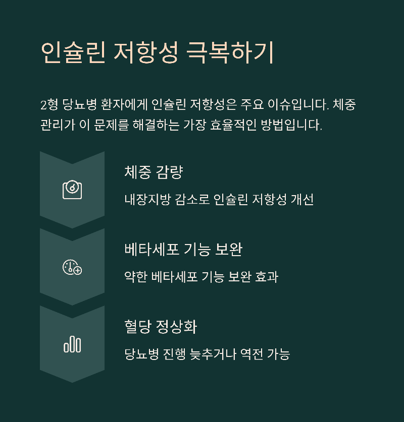인슐린 저항성 극복하기